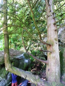 TWILIGHT FILMING LOCATION Edwards Reveal Filmed in Six Locations