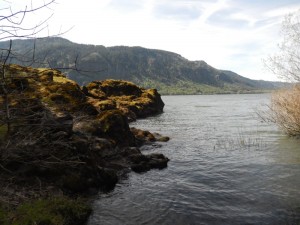 Twilight Girl – Forever in Portland