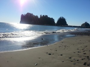 Twilight Girl – Forever in Portland