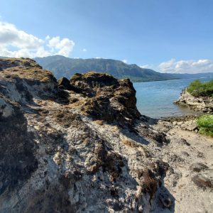 TWILIGHT MOVIE FILMING OREGON/WASH./CALIF. LOCATIONS – Twilight Girl